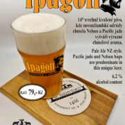 IPAGOTT beer