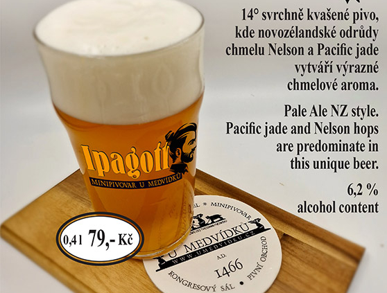 IPAGOTT beer
